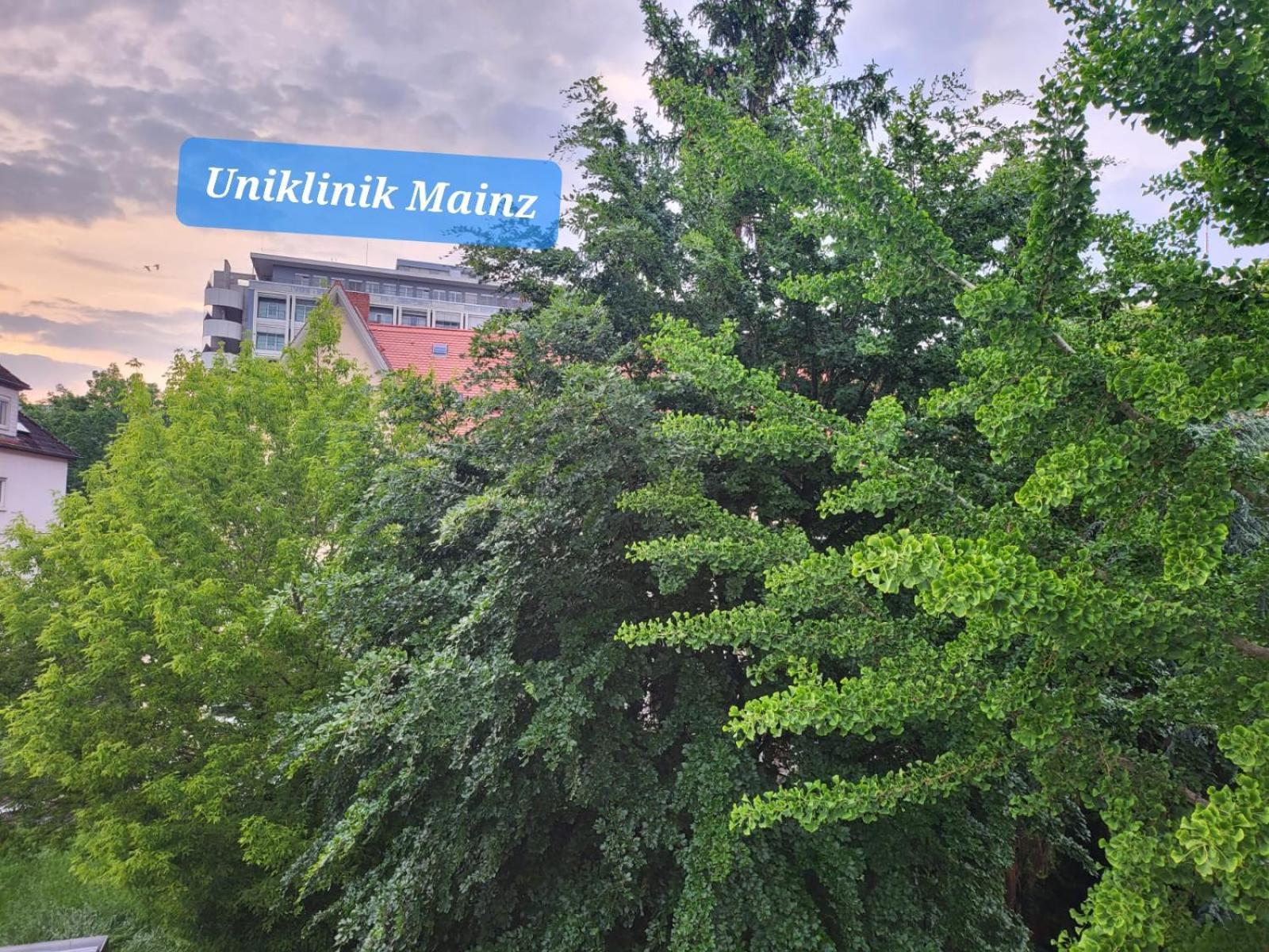 Gemuetliches Privatzimmer An Der Uniklinik Mainz. Sehr Zentral Extérieur photo